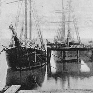 Sans transition. Une nouvelle histoire de l’énergie 